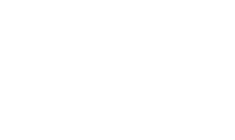 Site Logo Transparent - White